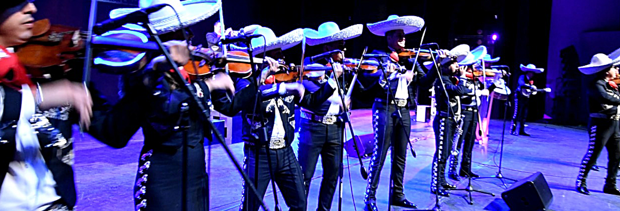 0091-MSF-Volante-Digital-2022